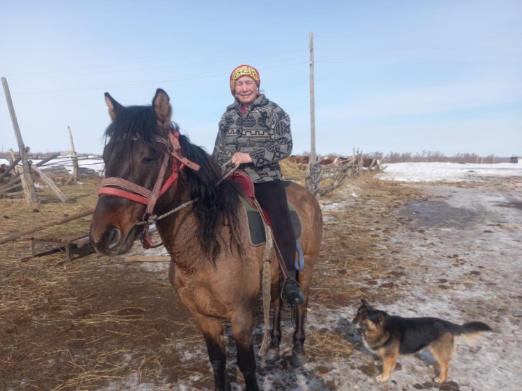 Павлодар облысында бақташы әйел  50 жылдай мал бағып келеді