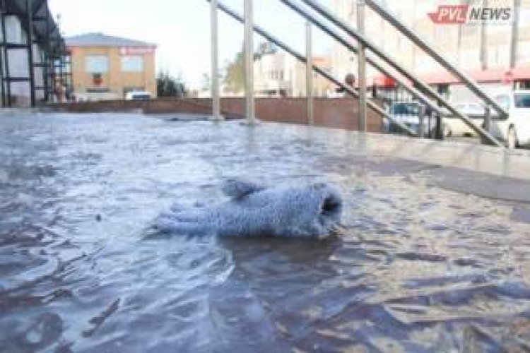 Жителей Павлодарской области предупредили о непогоде