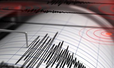 Алматинцы почувствовали землетрясение