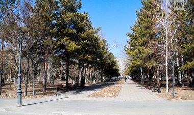 4 сәуірде  Павлодар облысында күн ашық болады