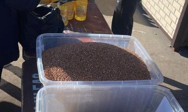 Павлодарцев пригласили на продуктовую ярмарку на новом месте