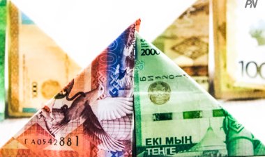 Финпирамиду на лжеинвестициях построили в Павлодарской области