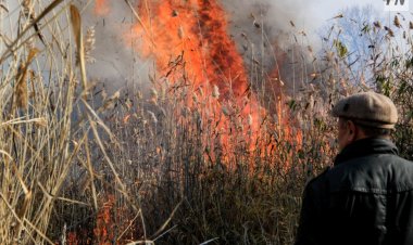 Павлодарда бір гектар құрғақ шөп жанды