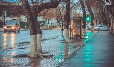 8 сәуірде Павлодар облысында қар жауады