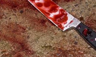 Зарезал мать и пытался покончить жизнь самоубийством житель Теренколя