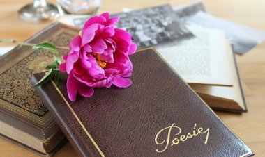 Павлодарда Ғашықтар күніне орай поэтикалық челлендж өтеді