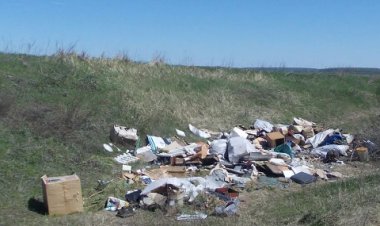 Баянауыл әкімдігі шашылған қоқысқа қатысты түсінік берді