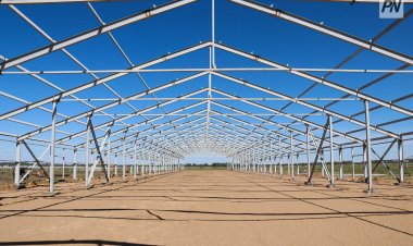 Самые привлекательные сферы для инвесторов назвали в Павлодаре