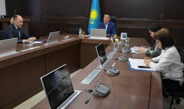 Асайын Байханов жасыл желектерді автоматты түрде суаруды тапсырды