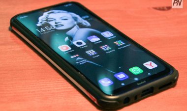 Павлодарда түрмеге телефон өткізбек болған келіншек сотта жауап бермек