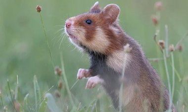 Декада профилактики опасных болезней стартовала в Павлодарской области