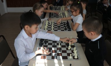 Павлодарлықтар шахматтан республикалық челленджге атсалысты