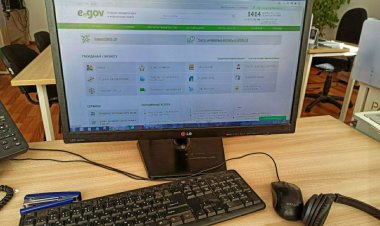 Павлодарцы стали чаще оформлять инвалидность онлайн