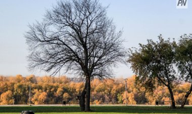 Жұма күні  Павлодар облысында қар аралас жаңбыр жауады