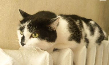 Котельную в Железинке отремонтируют