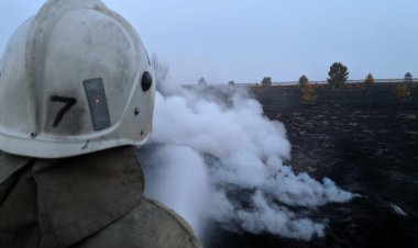 Лес загорелся на границе Павлодарской области с Россией
