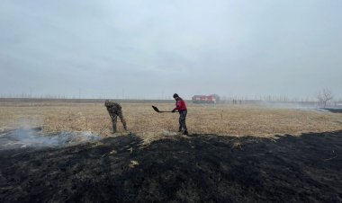 Павлодар-Ақсу көпірінің жанында болған өрт ауыздықталды