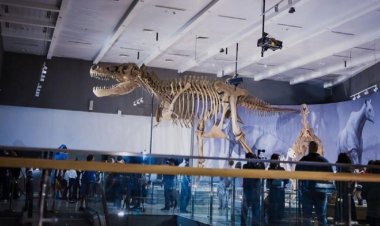 Еліміздегі Ұлттық мұражайда ашылған палеонтология залының авторы павлодарлық профессор