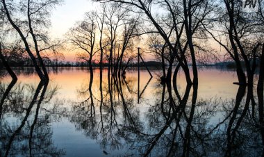 На смену снегопаду в Павлодарской области придут туман и дождь