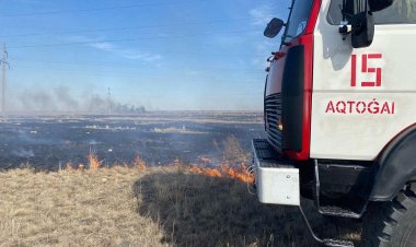 В Актогайском районе нашли поджигателя поймы