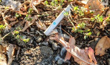 Как жители Павлодарской области могут избежать пожара на дачах