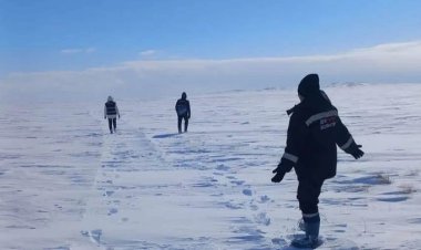 Павлодар облысында мал іздеуге шыққан әйел өлі күйінде табылды