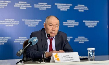 Павлодар облысында алты жүзге жуық қаңғыбас үй жануары жойылды