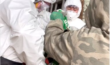 Раннее замешивание биопрепарата против гнуса начали в Павлодаре