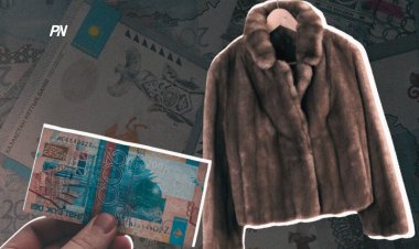 Экибастузец обогатился на вымышленных шубах