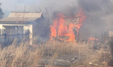 Огонь вспыхнул в дачном массиве Павлодара