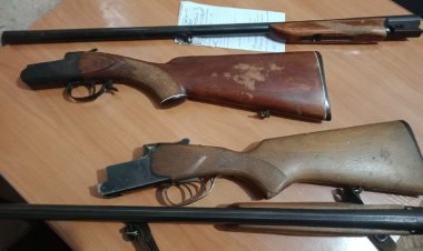 Павлодар облысында ауыл тұрғындары тіркелмеген екі қаруды тапсырды