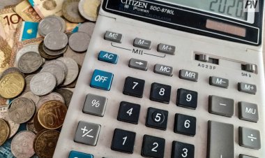 Павлодар облысында кедендік бағыт бойынша бюджетке түсетін түсімдер едәуір ұлғайған