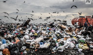 Парк на месте свалки: в Павлодаре за год не разработали проект