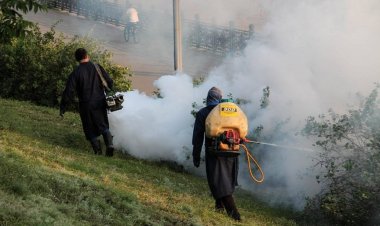 Бүгін Павлодарда шыбын-шіркейлерді улау жұмыстары жүргізіледі