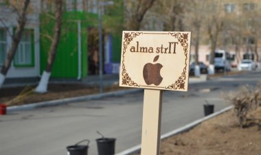 Павлодарда IT бағы ашылды