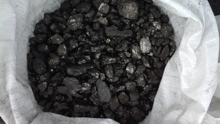 Завышение цены на уголь расследуют в Павлодарской области