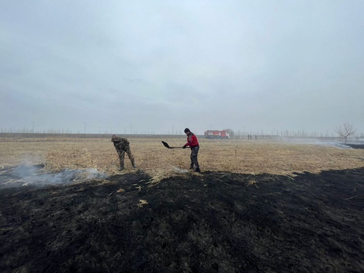 Павлодар-Ақсу көпірінің жанында болған өрт ауыздықталды