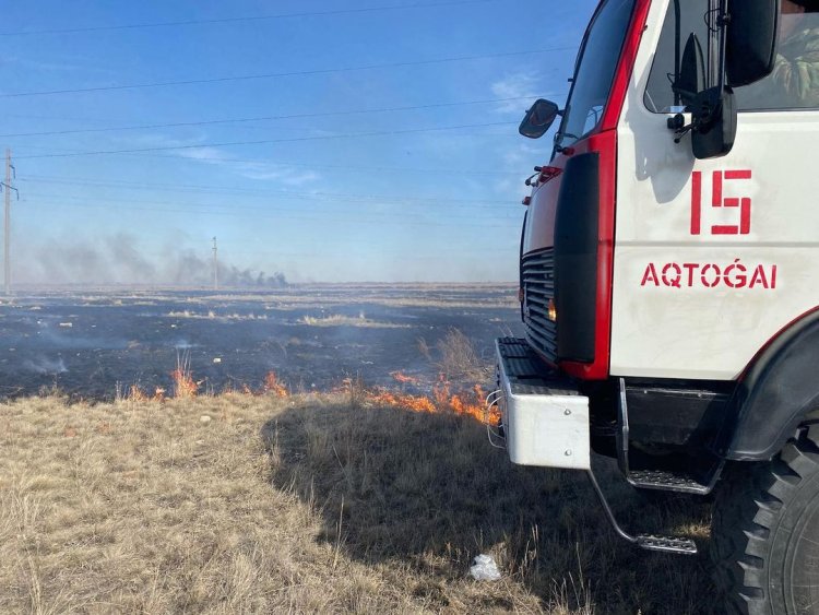 В Актогайском районе нашли поджигателя поймы