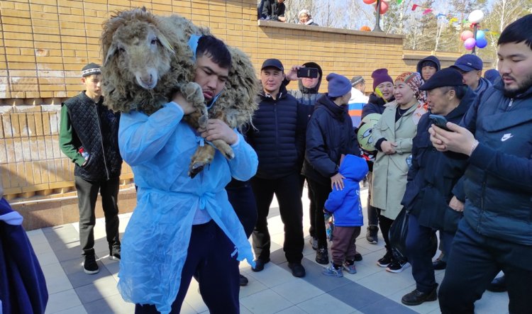 Ораза айт: Павлодарлық тұрғын қойды 160 рет көтеріп, ұтып алды