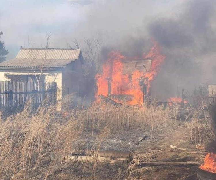 Огонь вспыхнул в дачном массиве Павлодара