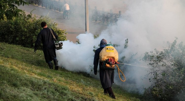 Бүгін Павлодарда шыбын-шіркейлерді улау жұмыстары жүргізіледі