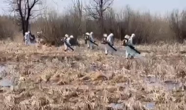 В Аксу провели обработку против гнуса