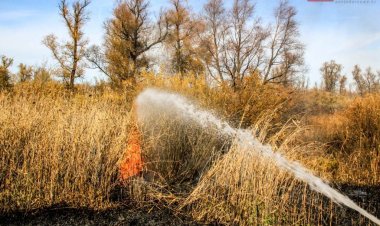 Пожар вспыхнул в садоводстве Павлодара