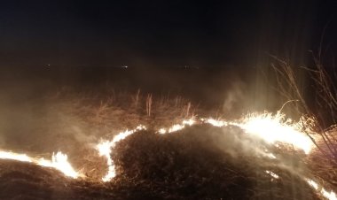 Степной пожар тушили в сельской зоне Аксу