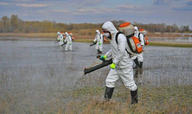 С воздуха и суши: в районе Теренколь и Аксу приступили к потравке комаров (ВИДЕО)
