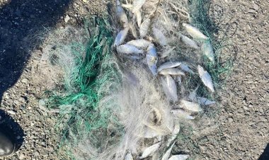 Ақсу ауылдық аймағында балықшы тыйым салынған зат қолданған