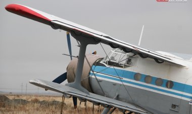 В пригородах Павлодара авиация потравит гнус