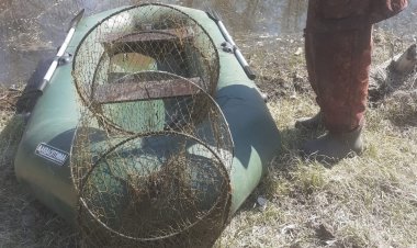 Павлодар ауданында теңіз табан балығын аулаған зейнеткер ұсталды