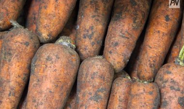 В Павлодарской области самые низкие цены на продукты по ряду позиций