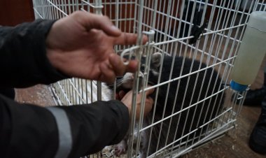 Павлодарда сотталушыларға алғаш рет ерекше терапия қолданылды